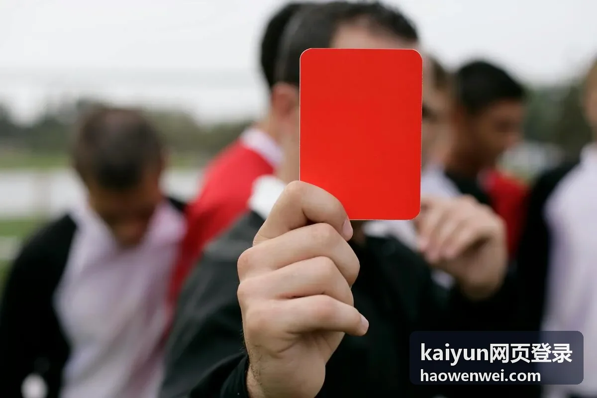 kaiyun网页登录动态口令验证环节示意