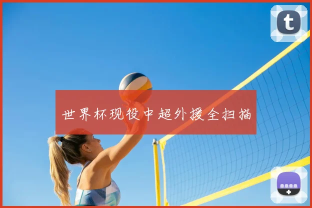 世界杯现役中超外援全扫描