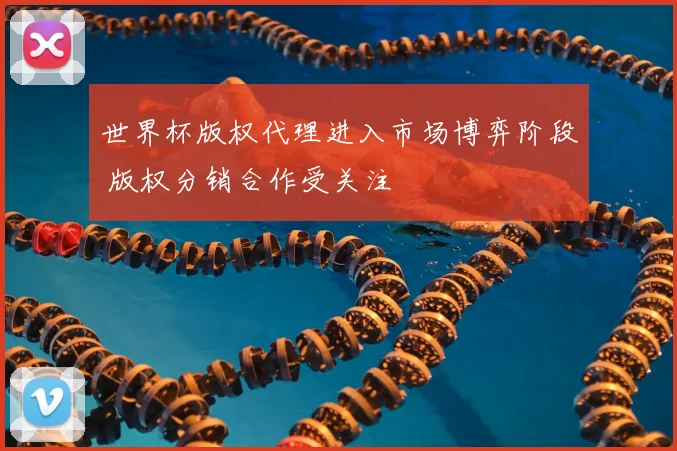 世界杯版权代理进入市场博弈阶段 版权分销合作受关注