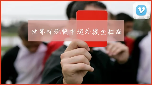 世界杯现役中超外援全扫描